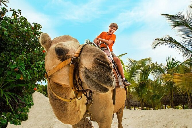 Camel Expedition and Beach Club In Riviera Maya - Hotel Pickup and Timing: Shared Transfers Can Be Smooth, Or Not