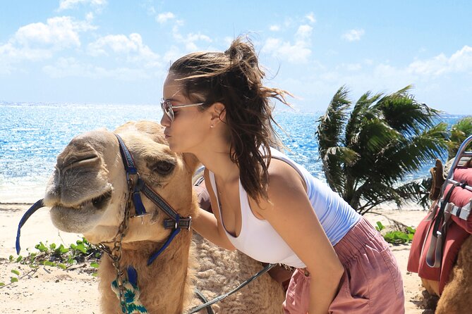 Camel Expedition and Beach Club In Riviera Maya - Is the $144 Price Fair for This Camel Safari?