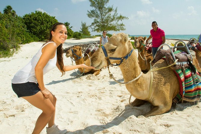 Camel Expedition and Beach Club In Riviera Maya - Should You Book Camel Expedition and Beach Club In Riviera Maya?