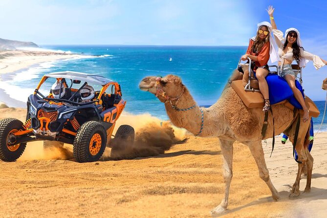 Camel Ride and UTV Combo Adventure, with Tequila Tasting - Entering Rancho de Migriño: Where the tour really starts