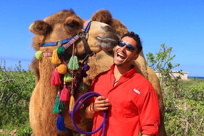 Camel Ride and UTV Combo Adventure, with Tequila Tasting - Price and extra fees: The real cost of the “combo”