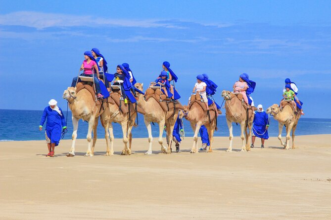 Camel Ride and UTV Combo Adventure, with Tequila Tasting - Phone and camera restrictions: Plan your memory-making