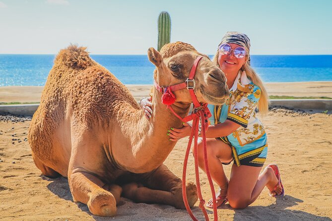 Camel Ride and UTV Combo Adventure, with Tequila Tasting - Who this tour suits best in Cabo