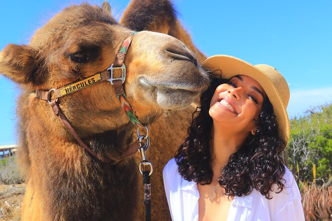 Camel Ride and UTV Combo Adventure, with Tequila Tasting - Sand dunes and ocean cliffs near Migriño Beach: Where the scenery hits