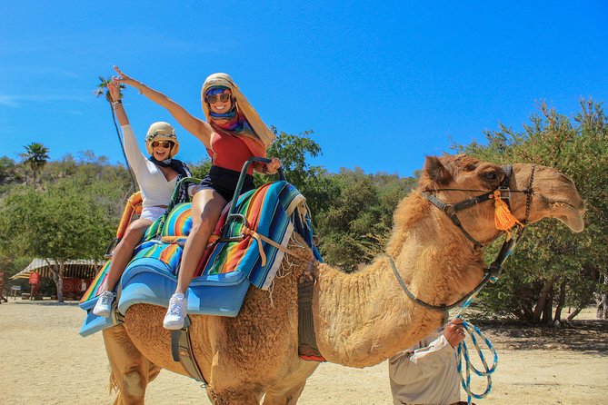 Camel Ride in the Canyon and Thrilling Water Slides and Snacks - Key highlights worth your attention