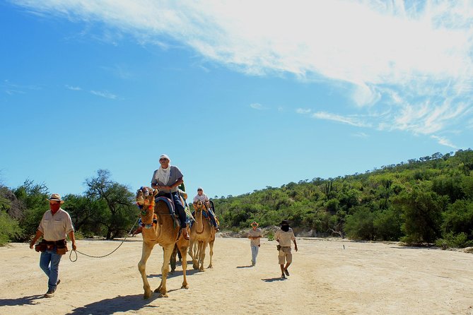Camel Ride in the Canyon and Thrilling Water Slides and Snacks - Water slides and pool time, where the day turns into kid-friendly chaos