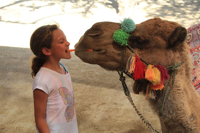 Camel Ride in the Canyon and Thrilling Water Slides and Snacks - Bridge photos, biking, Eurobungy, and the climbing wall