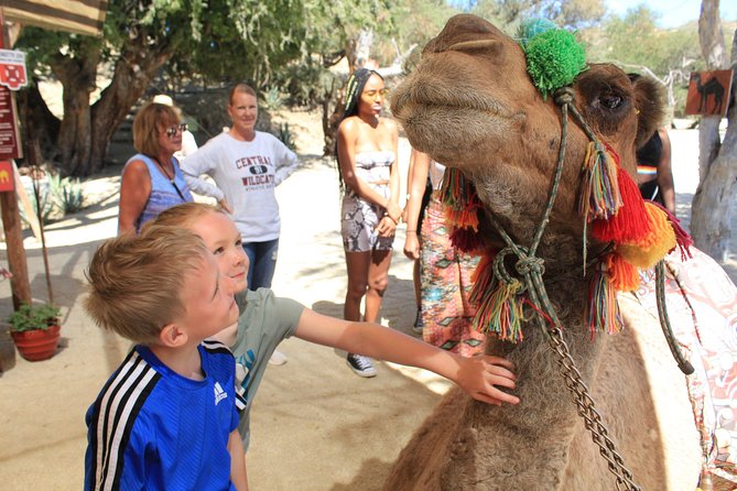 Camel Ride in the Canyon and Thrilling Water Slides and Snacks - What to bring, what to wear, and how to stay comfortable in Cabo heat