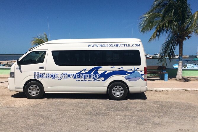 Cancun Airport to Holbox Transportation Private - Golf cart taxi on Holbox: arriving with less hassle