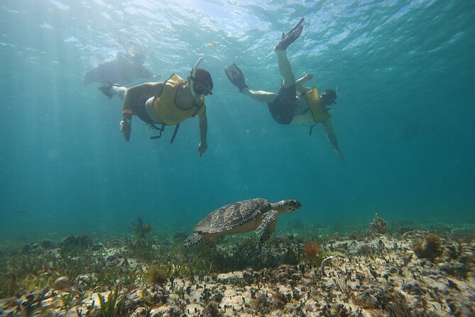 Cancun : All Inclusive Catamaran Tour to Isla Mujeres - Snorkeling gear, the timing of the open bar, and staying comfortable