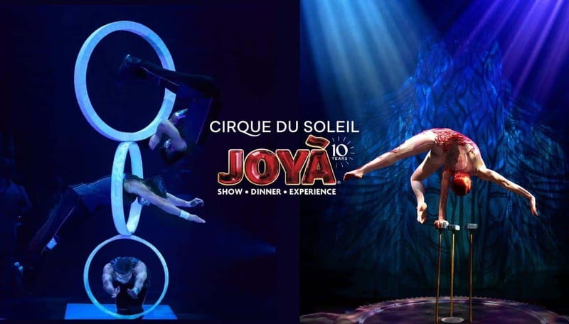 Cancún: Cirque du Soleil JOYÀ Entry Ticket and Transfer - JOYÀ at Vidanta: a show with a story, not just tricks