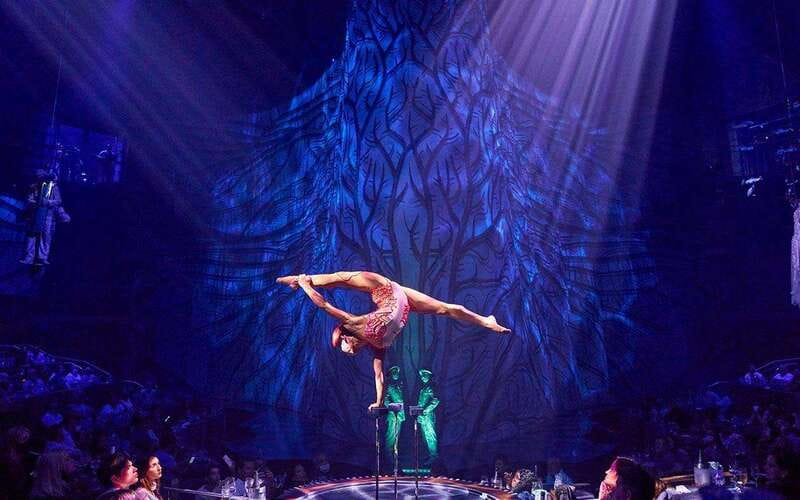 Cancún: Cirque du Soleil JOYÀ Entry Ticket and Transfer - Who should book this JOYÀ package (and who might want a different plan)