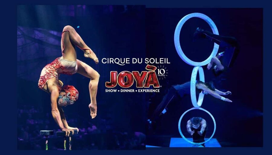 Cancún: Cirque du Soleil JOYÀ Show Ticket - The story you will follow, joy, courage, friendship, and a monarch-inspired quest