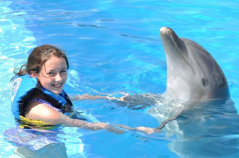 Cancún: Dolphin Encounter on Isla Mujeres with Buffet - Key Points You’ll Care About
