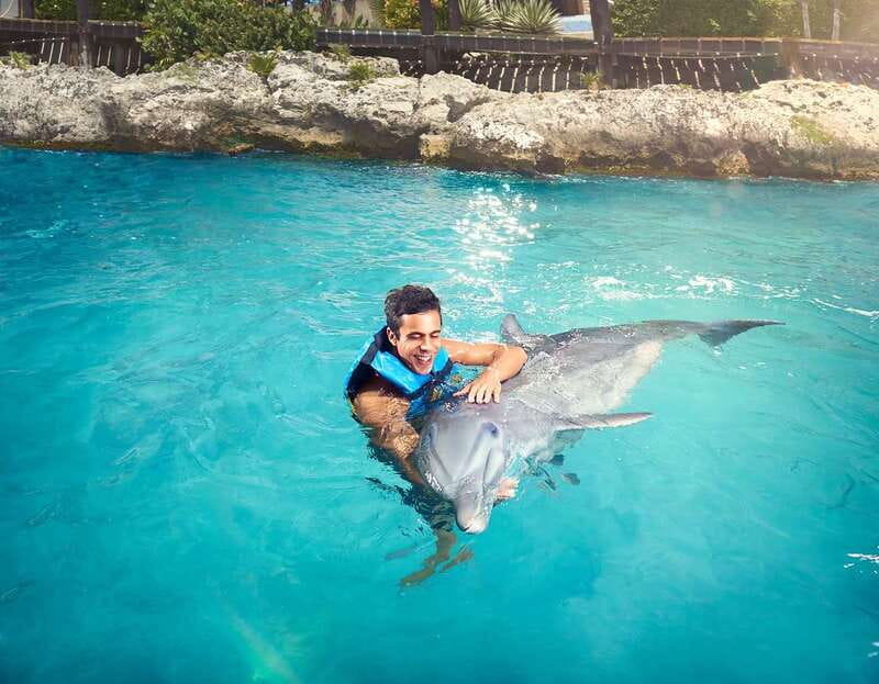 Cancún: Dolphin Encounter on Isla Mujeres with Buffet - Dolphin Encounter on Isla Mujeres That Keeps You on Your Feet