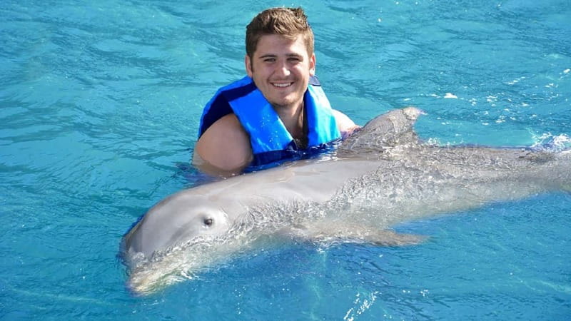 Cancún: Dolphin Encounter on Isla Mujeres with Buffet - What Happens at Dolphin Discovery: Hug, Facts, and the Underwater Platform