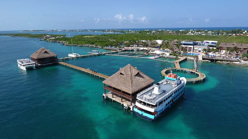Cancún: Dolphin Encounter on Isla Mujeres with Buffet - Who Should Book This, and Who Should Skip It
