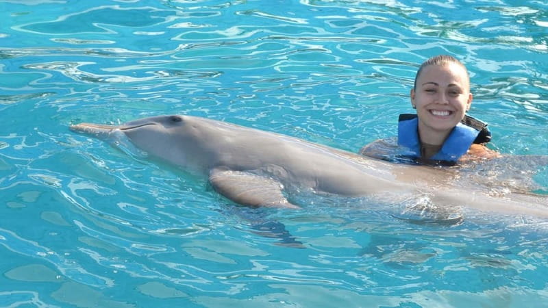 Cancún: Dolphin Encounter on Isla Mujeres with Buffet - How the Playa Langosta Ferry Turns This Into a Real Day Trip