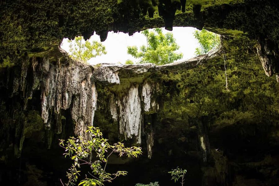Cancun in its entirety: Chichen Itza ruins, cenote, and Valladolid - Should you book this tour?