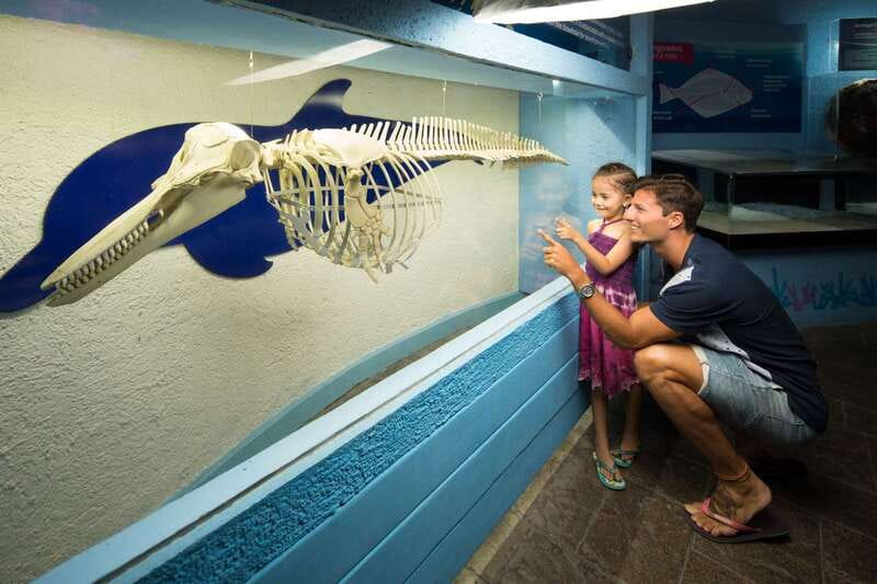 Cancún: Interactive Aquarium Admission - Key highlights worth your attention