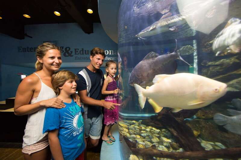 Cancún: Interactive Aquarium Admission - Where This Aquarium Fits in Your Cancún Day