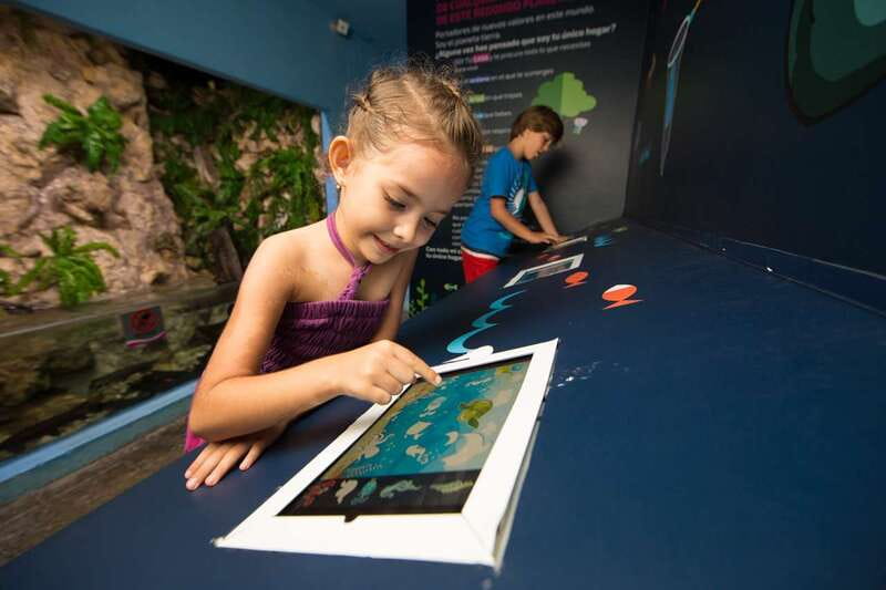 Cancún: Interactive Aquarium Admission - Entering Plaza La Isla and Finding the Aquarium Entrance