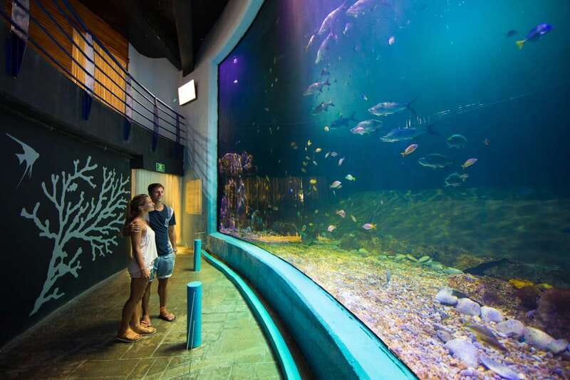 Cancún: Interactive Aquarium Admission - The Walk-Through Tanks: 140+ Species and 1,195 Specimens