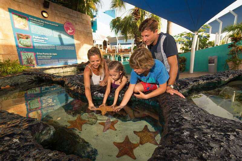 Cancún: Interactive Aquarium Admission - Corals and Anemones: Color Without a Reef Excursion