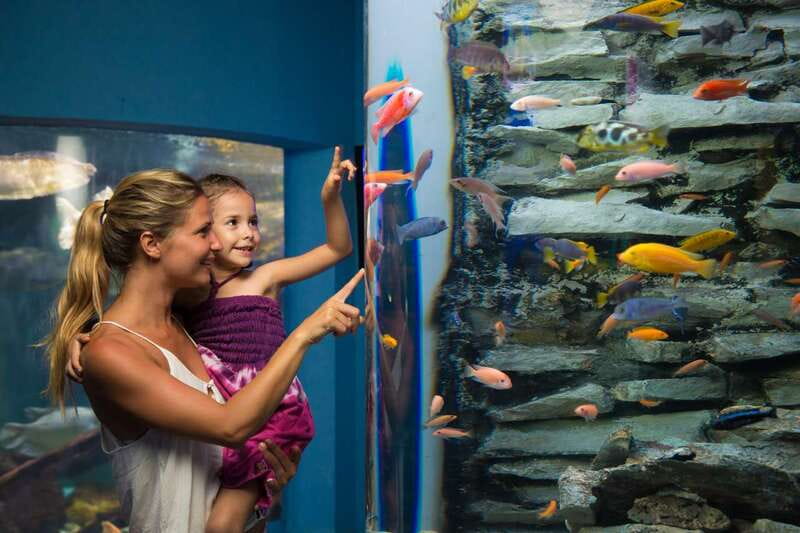 Cancún: Interactive Aquarium Admission - A Practical Route: How to Get the Most Out of a Short Visit