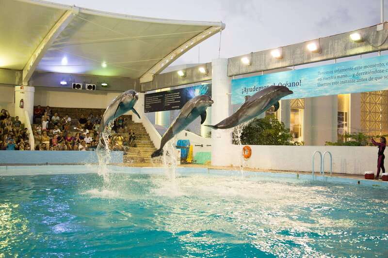 Cancún Interactive Aquarium Admission + Dolphin Presentation - Where this aquarium fits in your Cancun day