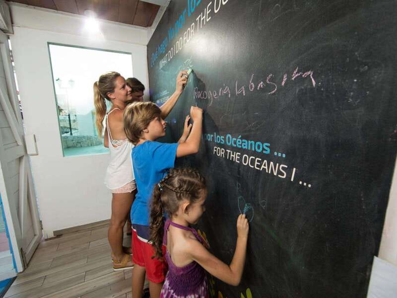 Cancún Interactive Aquarium Admission + Dolphin Presentation - Dolphin presentation at 7:00 pm: what to expect and what you won’t get