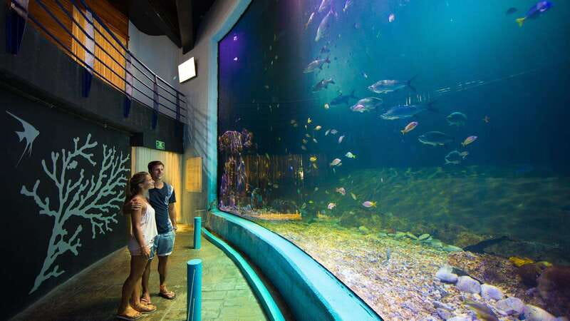 Cancún Interactive Aquarium Admission + Dolphin Presentation - Entering Plaza La Isla and finding the Interactive Aquarium entrance