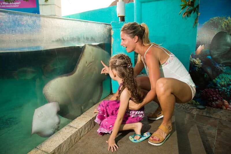 Cancún: Interactive Aquarium Admission - Price and Value: $17 for Marine Life, How to Judge It