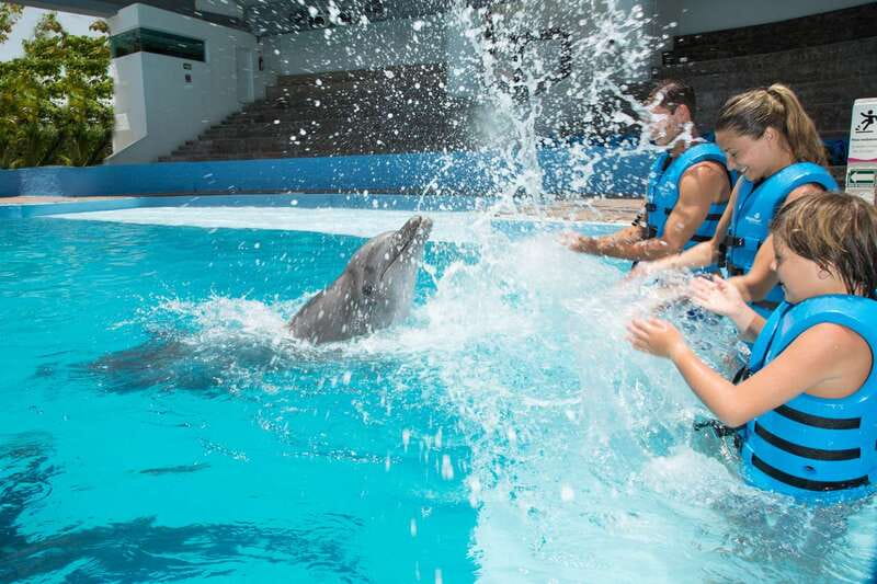 Cancun: Interactive Aquarium - Swim with Dolphins Splash - Key points to know before you go