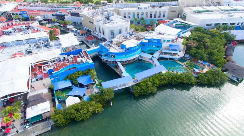 Cancun: Interactive Aquarium - Swim with Dolphins Splash - Your Up-Close Dolphin Session and the 10 Activities