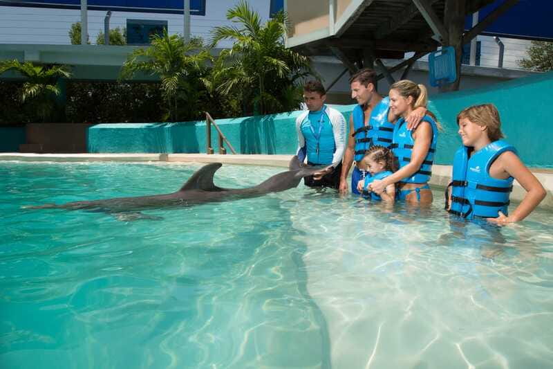Cancun: Interactive Aquarium - Swim with Dolphins Splash - Price, Photo Policy, and When It Really Feels Worth It