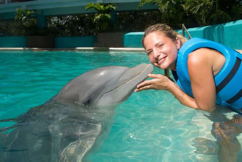 Cancun: Interactive Aquarium - Swim with Dolphins Splash - The 35-Minute Flow, With 20 Minutes Actually in the Water