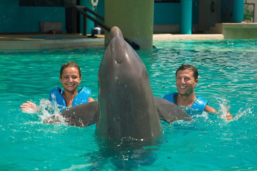 Cancun: Interactive Aquarium Ticket and Swim with Dolphins - Interactive Aquarium Cancun at Plaza La Isla: where it fits into your day