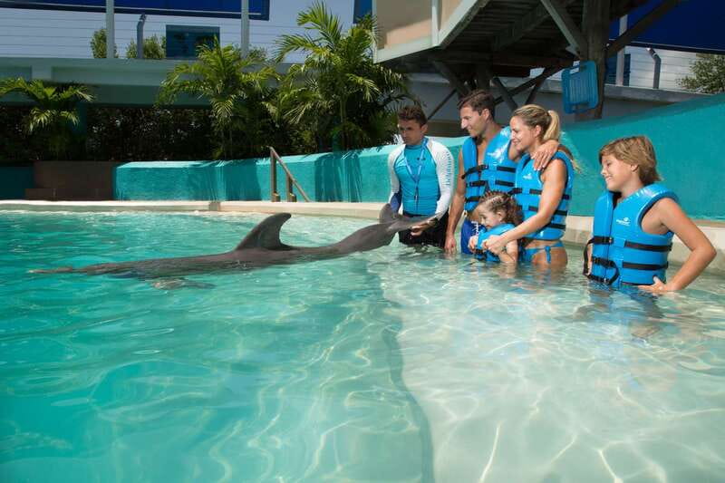 Cancun: Interactive Aquarium Ticket and Swim with Dolphins - The 45-minute flow: what your time is actually going to look like