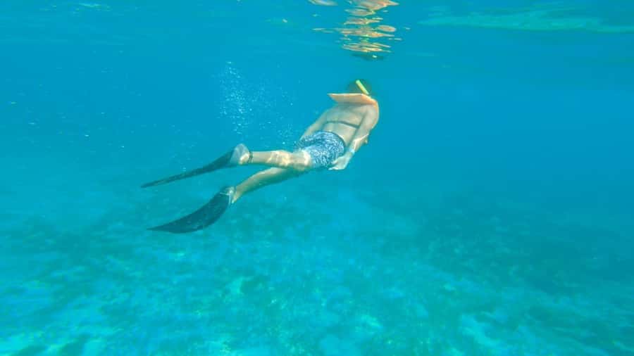 Cancun: Isla Mujeres Full Day Dancer Cruise - Entering the day: a Cancun catamaran built for action