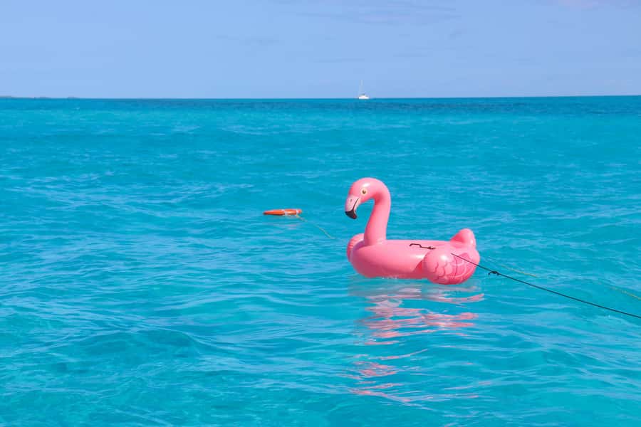 Cancun: Isla Mujeres Full Day Dancer Cruise - Breakfast, lunch, and the premium open bar on a 7-hour clock