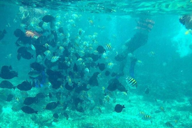 Cancun: Jetski and Snorkel Adventure - The Two-Hour Plan: Mangroves Out, Snorkel at Meco Reef, and Back