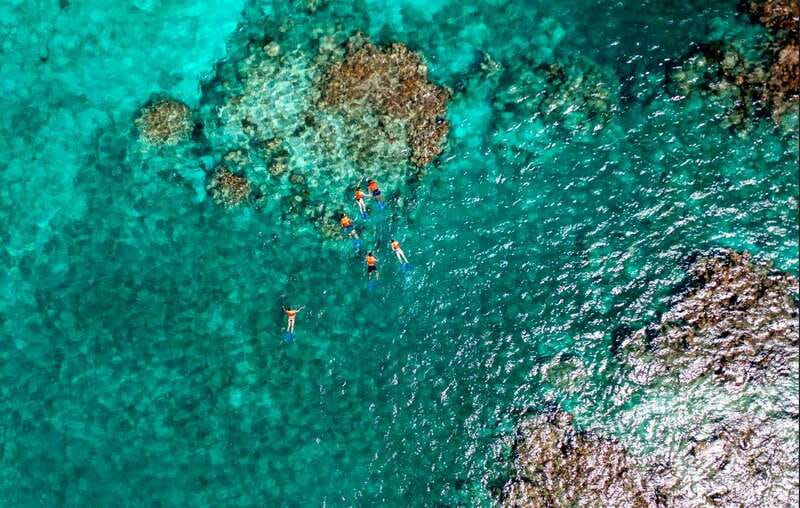 Cancun: Jungle Tour Adventure with Speedboat and Snorkeling - Key things to know before you book
