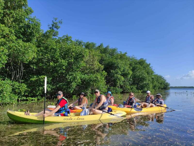 Cancun: Kayaking Tour in Nichupte Lagoon - Should You Book This Nichupte Lagoon Kayak Tour?