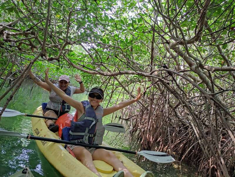 Cancun: Kayaking Tour in Nichupte Lagoon - The Best Stops: Photo Moments, Wildlife Windows, and Mangrove Caves