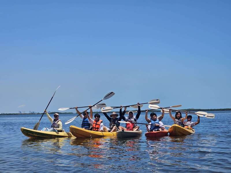 Cancun: Kayaking Tour in Nichupte Lagoon - Who Should Book This and Who Should Skip It