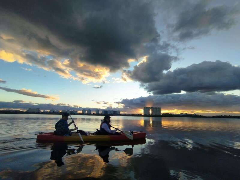 Cancun: Kayaking Tour in Nichupte Lagoon - Paddling the Mangrove Channels: What You’ll Actually See