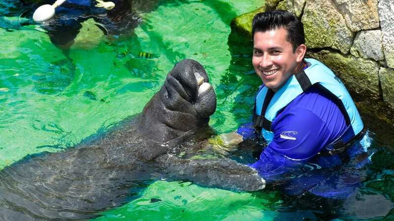 Cancun: Manatee Swimming on Isla Mujeres with Buffet Lunch - How Much Time You Actually Get on Isla Mujeres