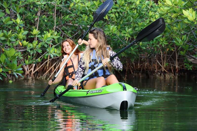 Cancun: Morning Kayak Adventure - Key Takeaways Before You Paddle