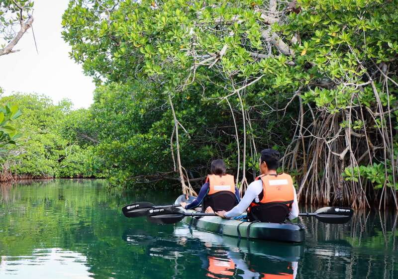 Cancun: Morning Kayak Adventure - Price and Value: What $47 Gets You in Real Terms